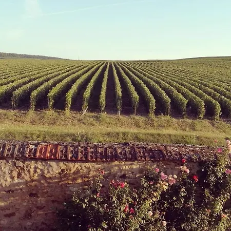 Feriehus La Belle Longere, Havre De Paix 3 Etoiles Face Aux Vignes Trelou Sur Marne